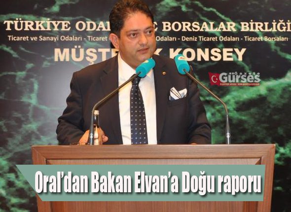 Oral’dan Bakan Elvan’a Dogu raporu