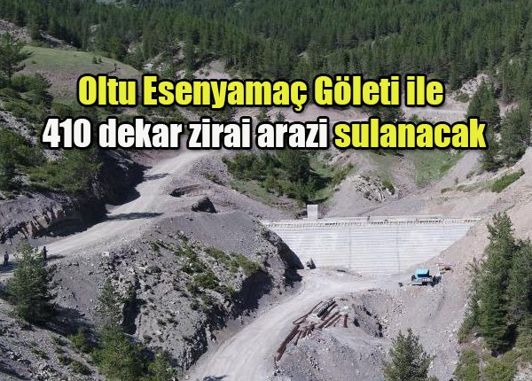 Oltu Esenyamaç Göleti ile 410 dekar zirai arazi sulanacak