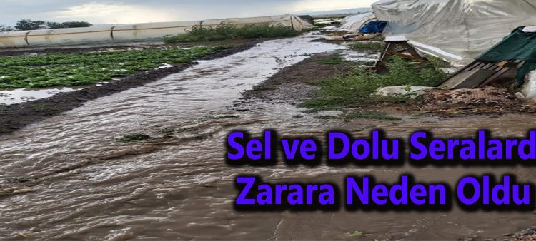 Sel ve dolu seralarda zarara neden oldu