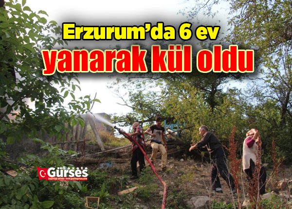 Erzurum’da 6 ev yanarak kül oldu