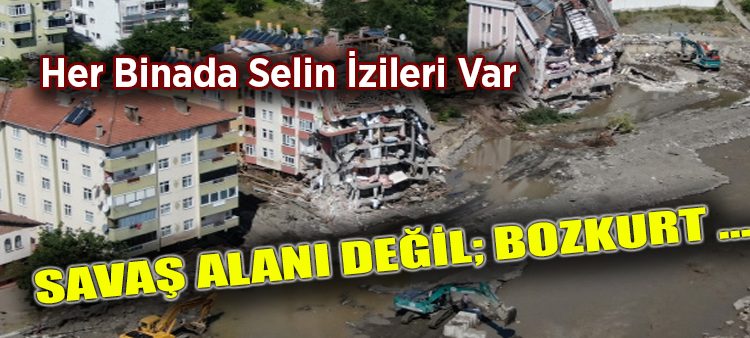 Bozkur’tun son hali içler acisi…