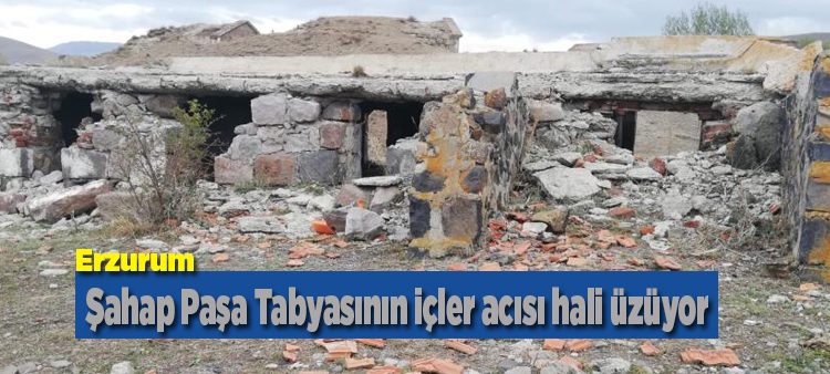 Tarihi tabya hayvan barinagina dönüstü