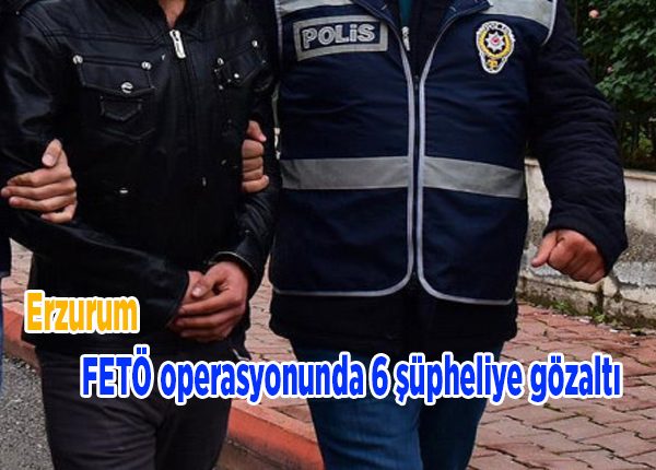 FETÖ operasyonunda 6 süpheliye gözalti