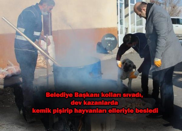 Belediye Baskani kollari sivadi, dev kazanlarda kemik pisirip hayvanlari elleriyle besledi