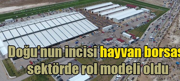 Dogu’nun incisi hayvan borsasi sektörde rol modeli oldu