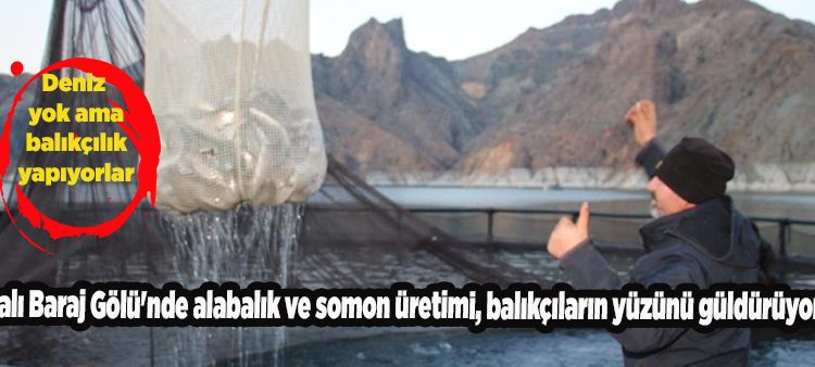 Ayvali Baraj Gölü’nde alabalik ve somon üretimi, balikçilarin yüzünü güldürüyor