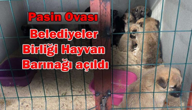 Pasin Ovasi Belediyeler Birligi Hayvan Barinagi açildi