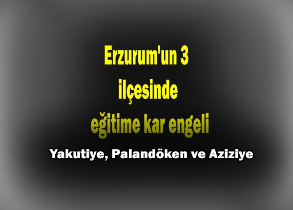 Erzurum’un 3 ilçesinde egitime kar engeli