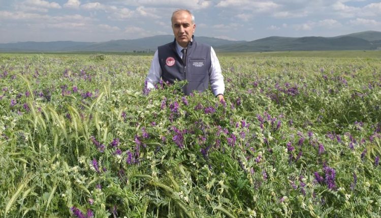 Tarimsal desteklemelerde rekor