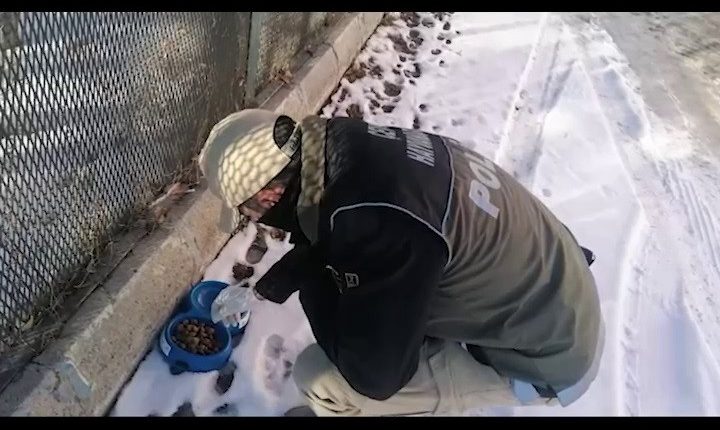 Polis ekipleri yaban hayvanlarini unutmadi