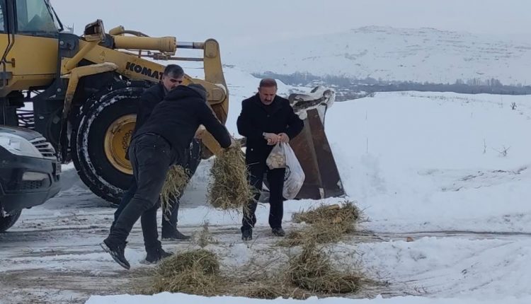 Askale’de sokak ve yaban hayvanlari beslendi