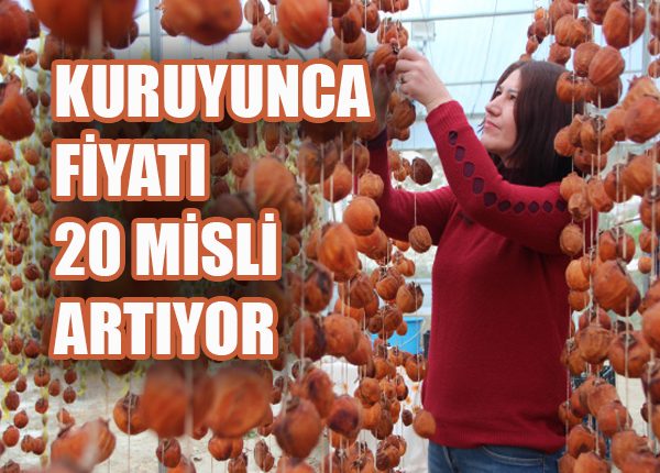 Kuruyunca fiyati 20 misli artiyor